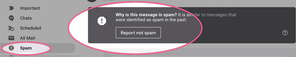 Mark our email as not spam